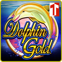dolphin gold