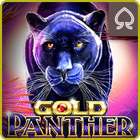 Gold panther
